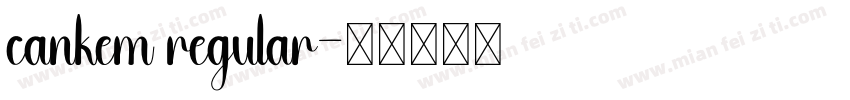 cankem regular字体转换